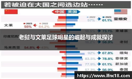 老挝与文莱足球明星的崛起与成就探讨