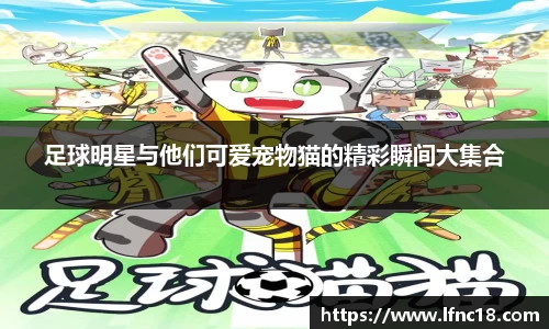 足球明星与他们可爱宠物猫的精彩瞬间大集合